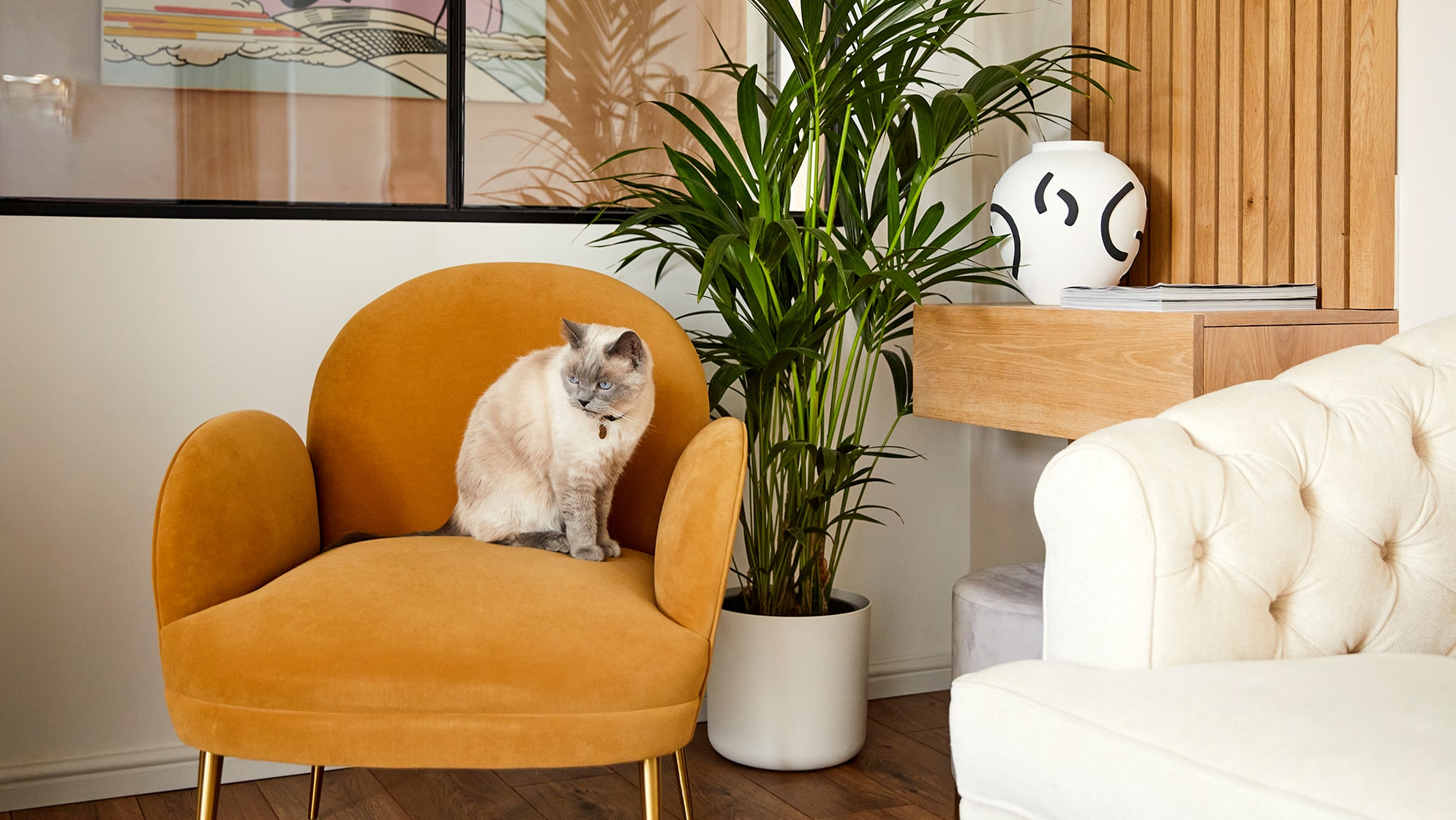 Cat palm pet safe top